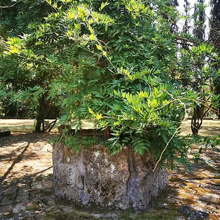펜션 Isola Farnese Parco Di Veio